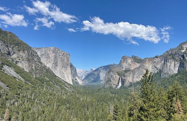Yosemite National Park & Giant Sequoias Private Tour