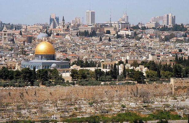 Free Palestine Private Guided Tour