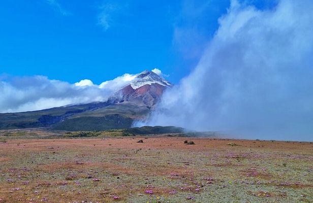 Full Day Tour to Cotopaxi Volcano from Quito