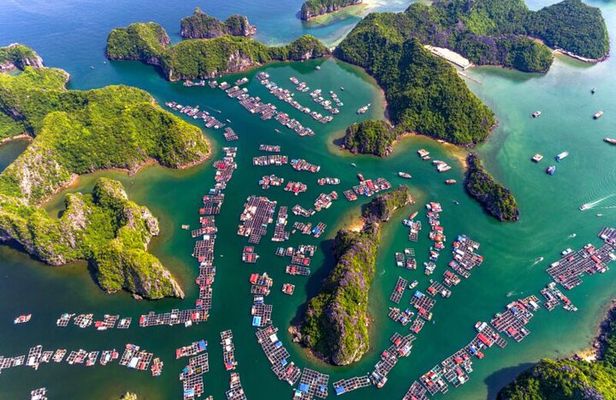Lan Ha Bay Full-Day Tour from Hanoi, Hai Phong - Serenity Cruises