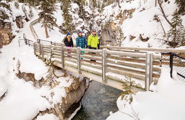 Half Day Marble and Johnston Canyon Ice Walk Combo Tour