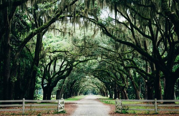Half-Day Hollywood In The South Film Locations in Savannah