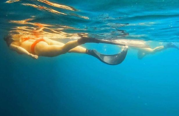 Busselton Jetty and Underwater Sculptures Snorkel Boat Tour