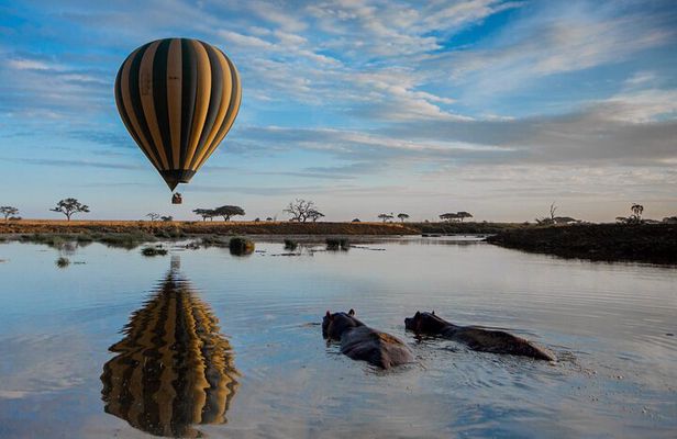 6 Days Tarangire, Serengeti, Ngorongoro & Manyara Joining Tour 