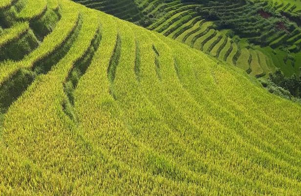 Mai Chau – Pu Luong 2D1N