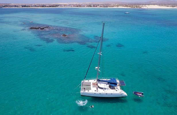Catamaran Sailing Tour or Whale Watching at Boa Vista