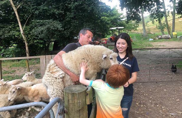 Wool Sheep Farm Experience with Handmade Wool Hat in New Zealand