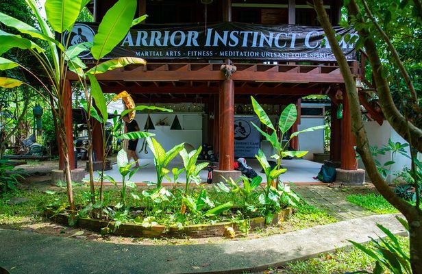 Martial Arts Jungle Experience - Unlock Your Spirit