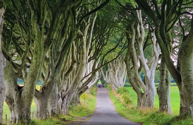 Private Giants Causeway Half-Day Tour From Belfast