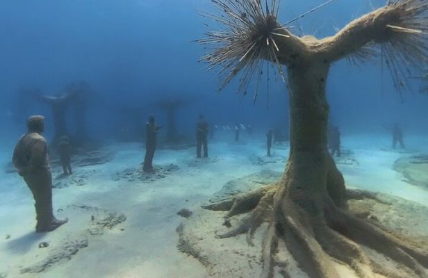Scuba Diving Experience & MUSAN Dive + Free Edited Video 2xdives
