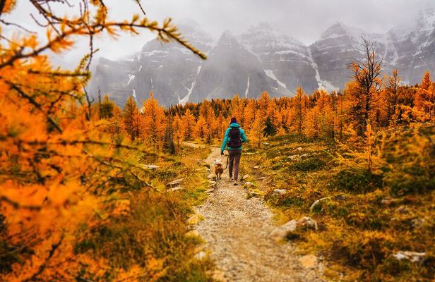 Moraine Lake: Larch Valley Hike, Departure from Banff
