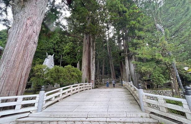 Full-Day Private Guided Tour to Mount Koya