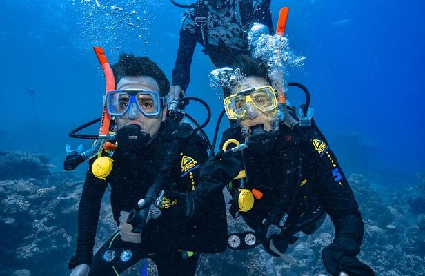 Great Barrier Reef with Cultural Guides-Dreamtime Dive & Snorkel