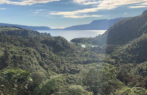 Rotorua Cultural Small Group Afternoon Tour