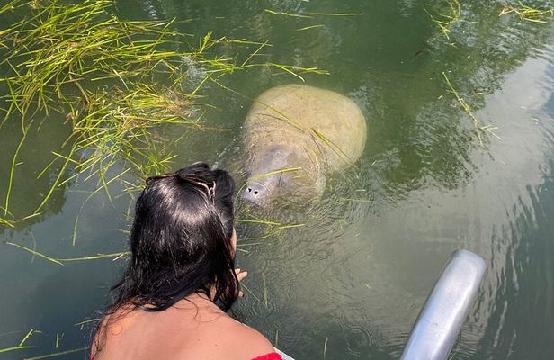 Crystal River: Private Manatee Boat Tour