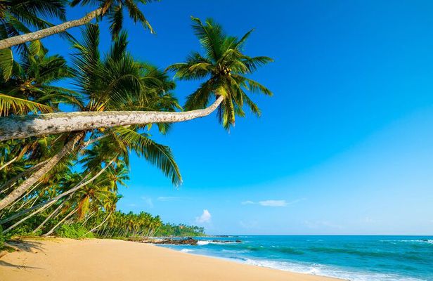 Private Tour On São Tomé Island