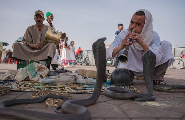 Marrakech day tour Immersion in Craft and Culture in VIP Van