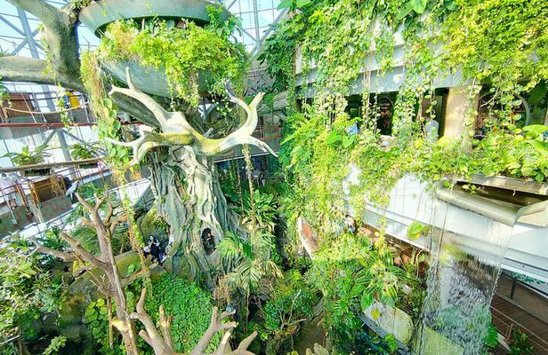 The Green Planet Dubai with Options