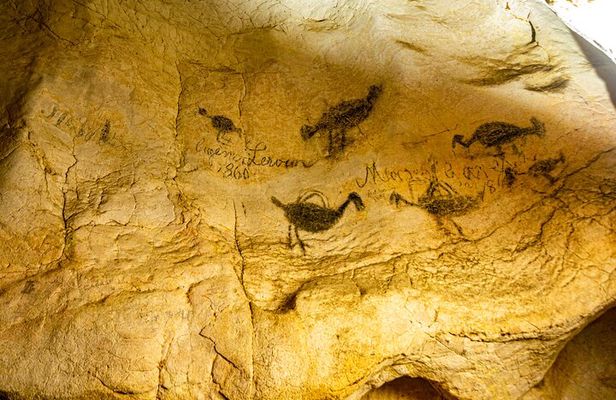 Full Day Tour to 3 Dominican Cultures Afro, Hispanic and Taino
