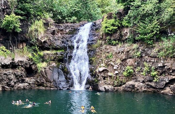 OAHU GRAND CIRCLE Waimea Waterfall, Turtle Beach, North Shore.
