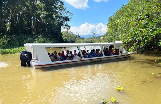 Full Day Private Tortuguero Canal and Zipline Adventure in Limon