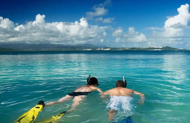 Family Fun-Snorkeling with Lunch Stop from Montego Bay