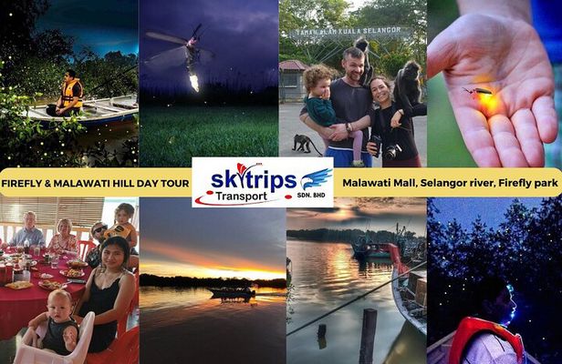 Kuala Selangor Fireflies - Batu Caves Temple- Malawati Hill DayTour With Dinner 
