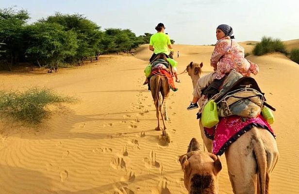 Nomadic Non-Touristic Overnight Tour & camel Safari