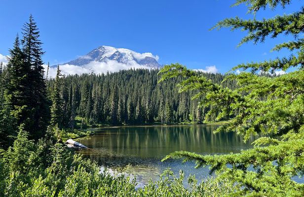 Mount Rainier Customized Tour from Seattle