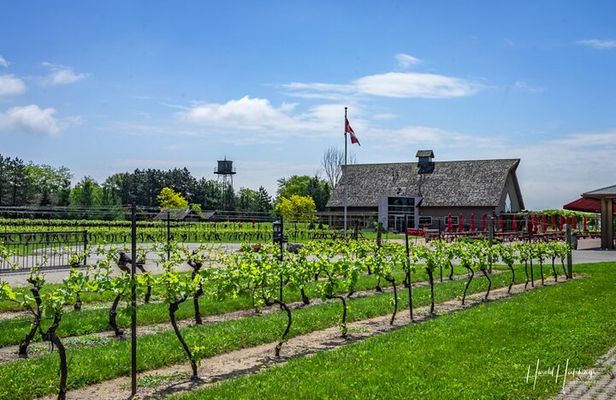 Private Half-Day Custom Wine Tasting Tour of Niagara-on-the-Lake
