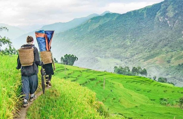 Sapa Trek Tour with Sleeper Bus/Night Train - Overnight at Hotel