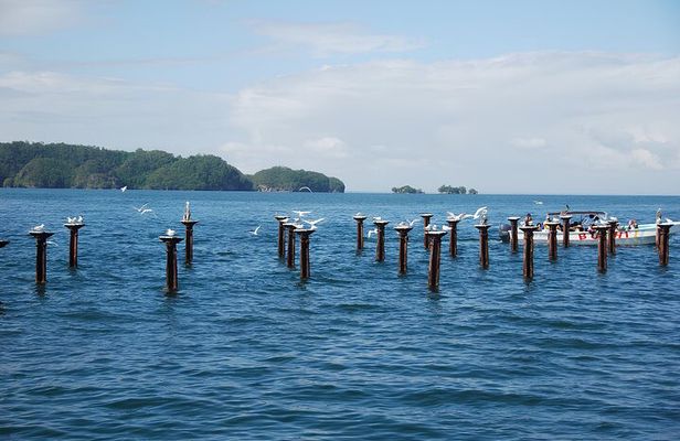Tour of Los Haitises Montaña Redonda and Yanigua Waterfall in one day