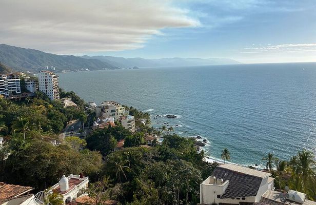 Private Tour of Puerto Vallarta and the Subtropical Forest