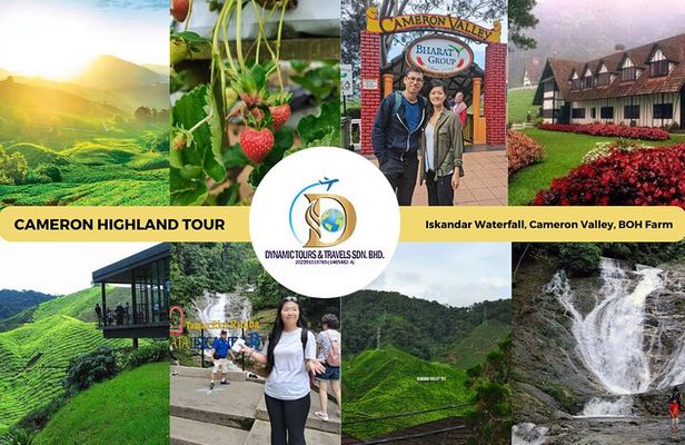 Private Full-Day Cameron Highlands Nature Tour from Kuala Lumpur