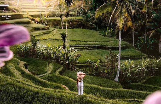 Ubud Highlights -Private Tour,Temples, Waterfalls & Rice terraces