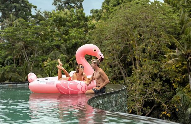 Tlaga Singha Infinity Pool, Jungle swing & Rice Terrace Trip