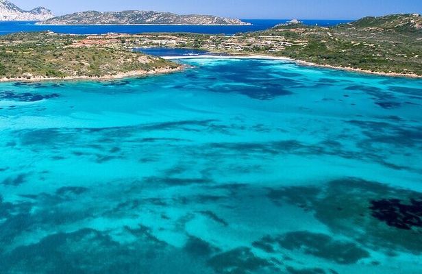 Dolphin Watching Boat Excursion to Figarolo Island from Olbia