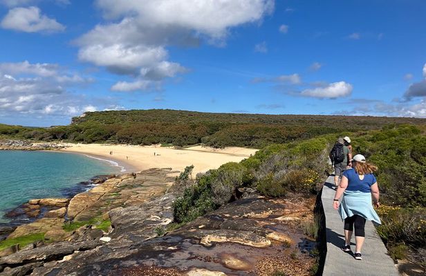Sydney Private Tour Inc The Royal National Park and Symbio Zoo