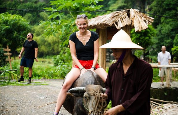 Ninh Binh eco group tour - Buffalo riding, rice planting, fishing