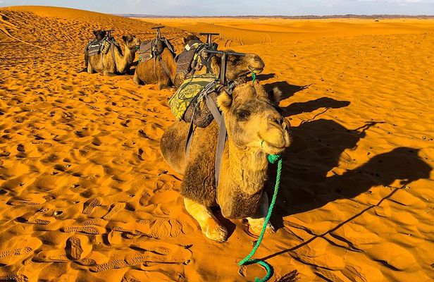 3-Days Desert Tour to Merzouga Dunes