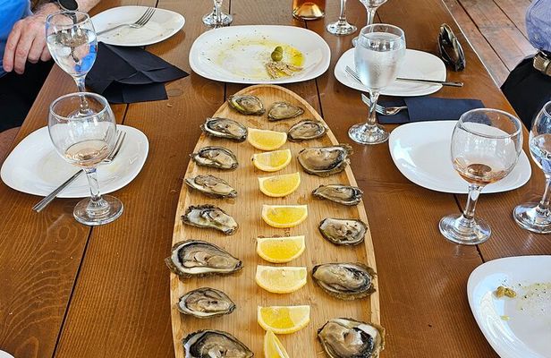 Luxury Wine and Oyster tasting
