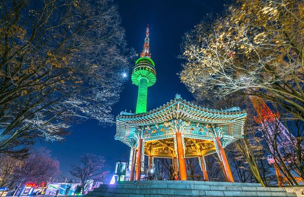 Night Flexible Private Guided Tour in Seoul(Optional Layover)