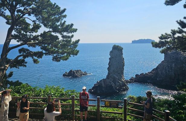 Private Guided Car Tour in Jeju Island