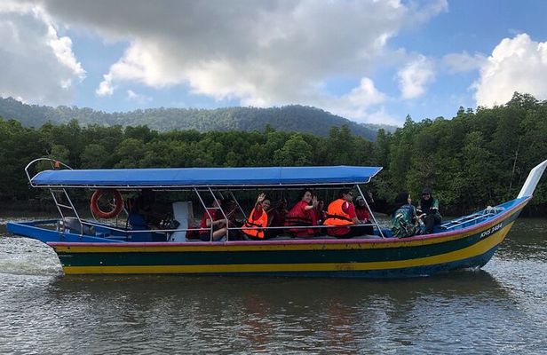 Mangrove River Cruise and Snorkeling Tour from Langkawi