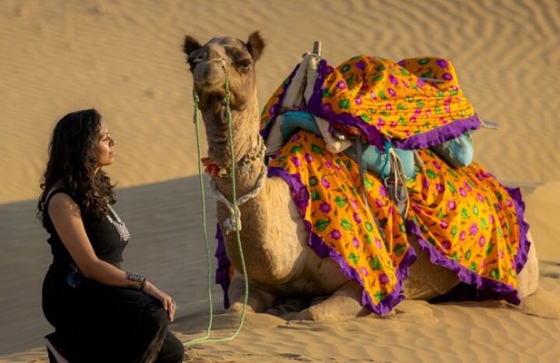 Dazzling Half Day Tour of Camel & Desert Safari with Sunset