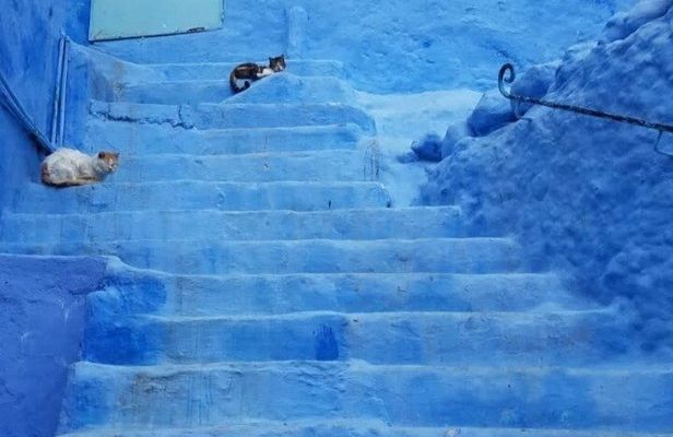  From Fez Day Trip to Chefchaouen 