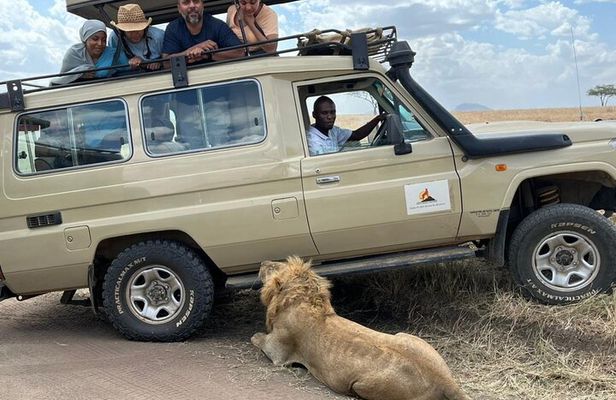 5-Day Camping Safari | Tarangire | Ngorongoro | Serengeti