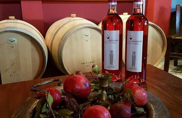 Olympia's Ancient Secrets & Wine Enchantment Tour - All Included