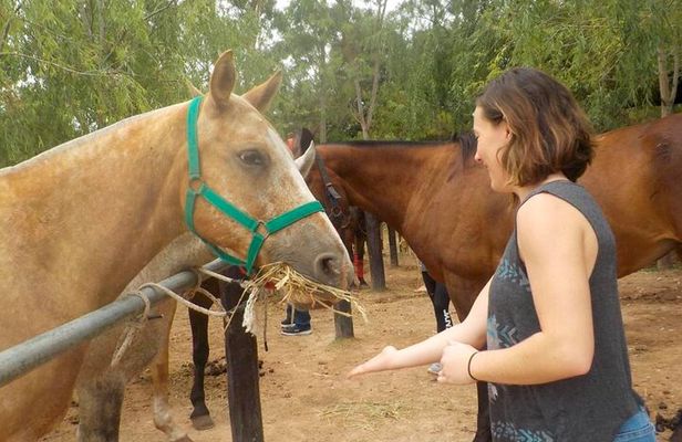 Horseback Riding Tour and Asado in Argentine Countryside