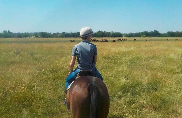 Horseback Riding Tour and Asado in Argentine Countryside